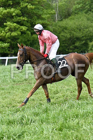 Fifth Race Div 1 - Florida Mirage (22) PU, Rider J J Jenkins - CU2D9675-e