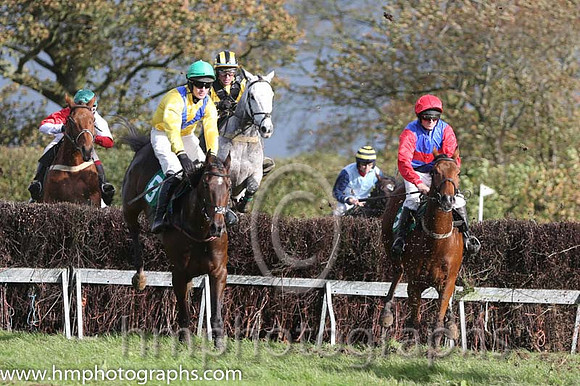 06 American Image and J Cresswell - PU - 06th (3 ,royal blue, red hoop ) Trainer - S Michael Millar