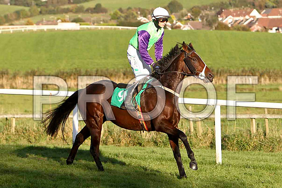 Strolling Home , Jockey P Townend - 2nd - CU2D9410-e
