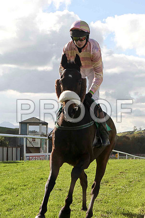 Spice Hill , Jockey G Malone - 7th - FT8E4413-e