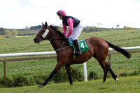 Pretty Valira , 4th, Jockey M J Bolger - CU2D9240-e