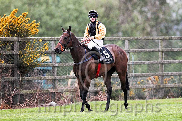 R7 -  Aharney 14th , Jockey G P Carroll - FT8E0617-e