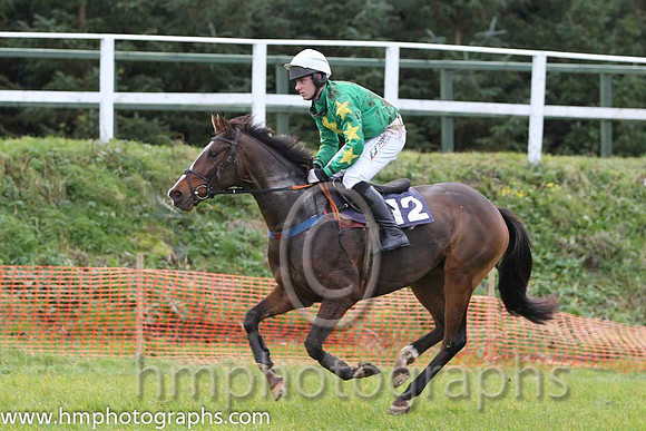 09 Ryansbrook & B O'Neill - Fell (12, emerald green, yellow star) - FT8E0892-4